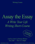 Assay the Essay — Writing Short-Course